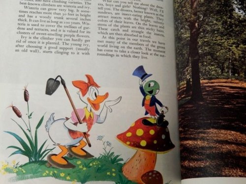 他の写真2: bk-131022-10 Disney's Wonderful World Of Knowledge Vol.2 Picture Book