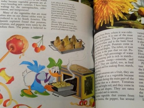 他の写真1: bk-131022-10 Disney's Wonderful World Of Knowledge Vol.2 Picture Book