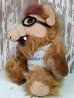 画像3: ct-140415-19  ALF / 80's Plush doll "Canadidate" (3)