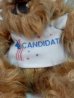 画像2: ct-140415-19  ALF / 80's Plush doll "Canadidate" (2)