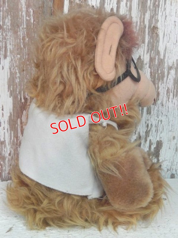 画像5: ct-140415-19  ALF / 80's Plush doll "Canadidate"