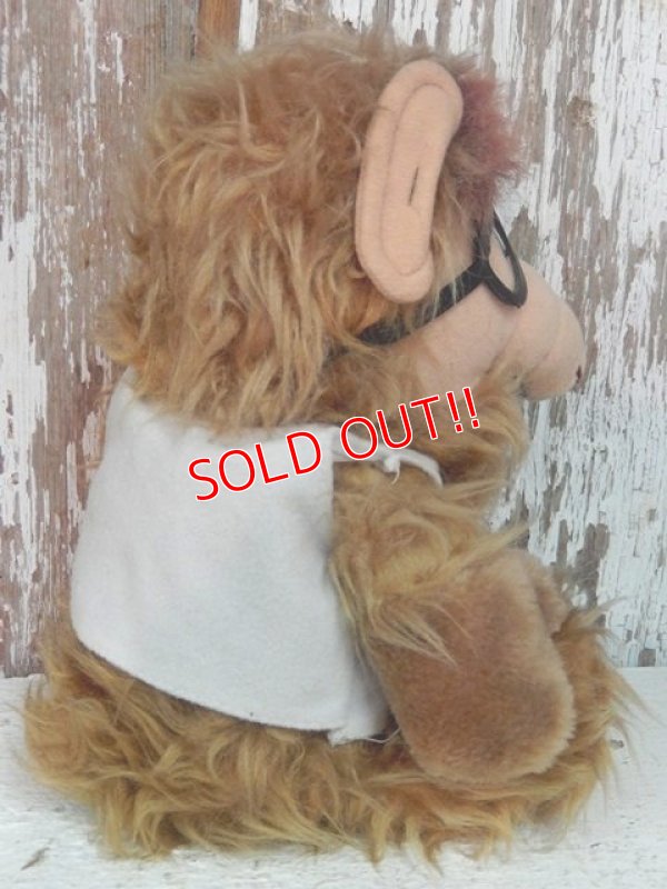 画像5: ct-140415-19  ALF / 80's Plush doll "Canadidate"