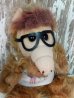 画像4: ct-140415-19  ALF / 80's Plush doll "Canadidate" (4)