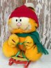 画像1: ct-140415-34 Garfield / R.DAKIN 80's Plush Doll "Snow Flyer" (1)