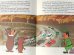 画像5: bk-140610-11 Yogi Bear teaches Boo Boo some Ecology 1974 Picture Book (5)