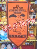 ct-140617-03 PEANUTS / 60's Banner "Snoopy" Orange