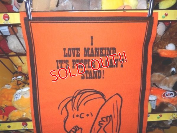 画像2: ct-140617-05 PEANUTS / 60's Banner "Linus" Orange