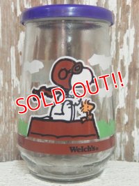 gs-140624-13 Welch's 1990's / Peanuts Comic Classics #7