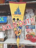 ct-140624-04 Walt Disney World / Magic Kingdom Pennant