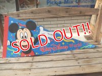 ct-140624-05 Walt Disney World / 90's Pennant