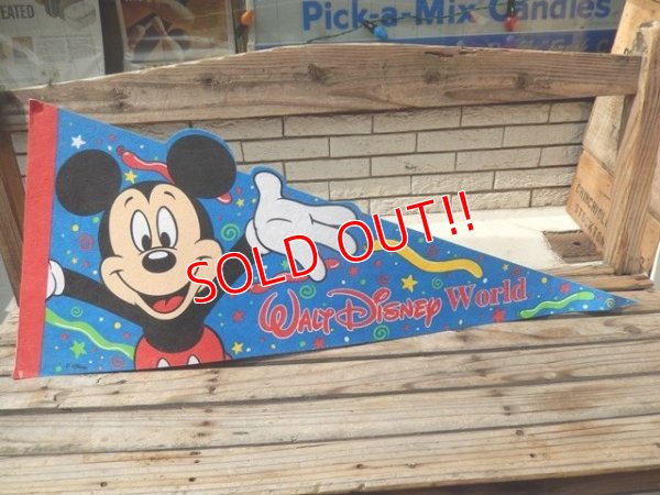 画像1: ct-140624-05 Walt Disney World / 90's Pennant