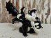 画像1: ct-140724-26 Pepe Le Pew & Penelope / TYCO 1994 PVC (1)