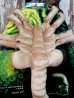 画像2: ct-140724-01 Alien / 2004 Facehugger Life-sized Plush Doll (2)