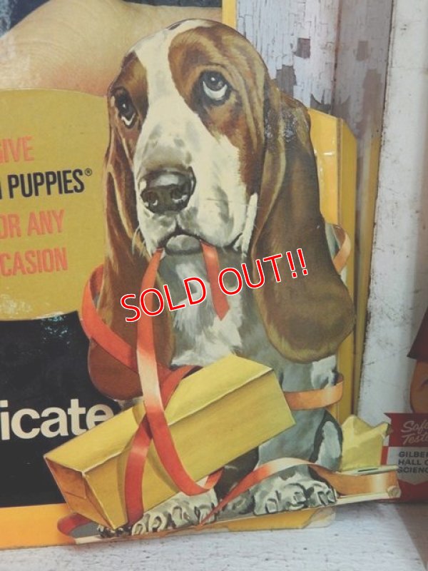 画像2: ct-141001-26 Hush Puppies / 70's Cardboard sign "Give Hush Puppies ...For Any Occasion"
