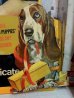画像2: ct-141001-26 Hush Puppies / 70's Cardboard sign "Give Hush Puppies ...For Any Occasion" (2)