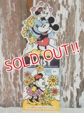 ct-141001-36 Mickey Mouse & Minnie Mouse / 70's Daisy Seed