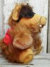 画像3: ct-141002-06 ALF / 80's Plush doll "No Problem "Red" (3)