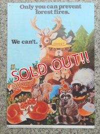 ct-140715-14 Smokey Bear / 70's Poster