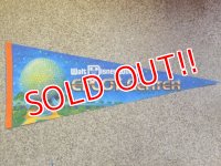 ct-141007-10 Walt Disney World / EPCOT CENTER 80's Pennant 