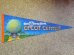 画像1: ct-141007-10 Walt Disney World / EPCOT CENTER 80's Pennant  (1)