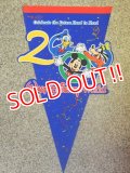 ct-141007-12 Walt Disney World / Celebrate the Future Hand in Hand 2000's Pennant 