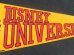 画像3: ct-141028-10 Disney University / Pennant (3)