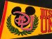 画像2: ct-141028-10 Disney University / Pennant (2)