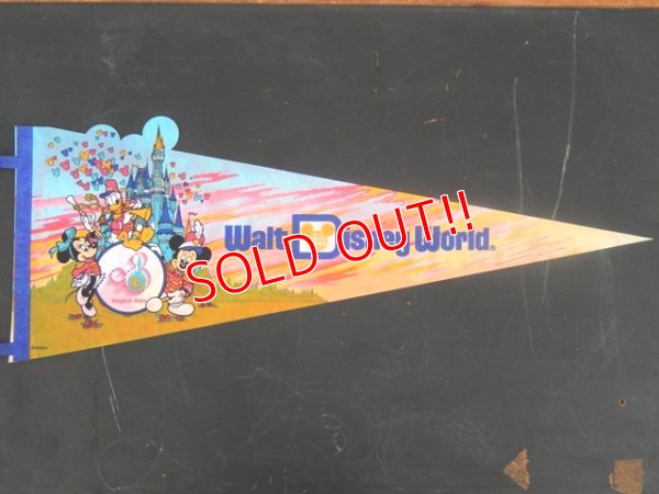 画像1: ct-141028-12 Walt Disney World / 90's Pennant "20 magical years"