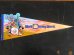 画像1: ct-141028-12 Walt Disney World / 90's Pennant "20 magical years" (1)