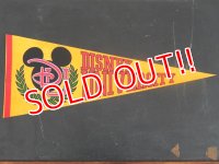 ct-141028-10 Disney University / Pennant