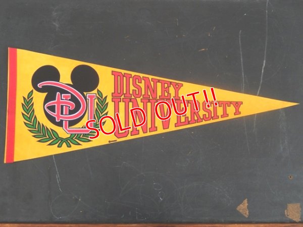 画像1: ct-141028-10 Disney University / Pennant