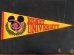 画像1: ct-141028-10 Disney University / Pennant (1)