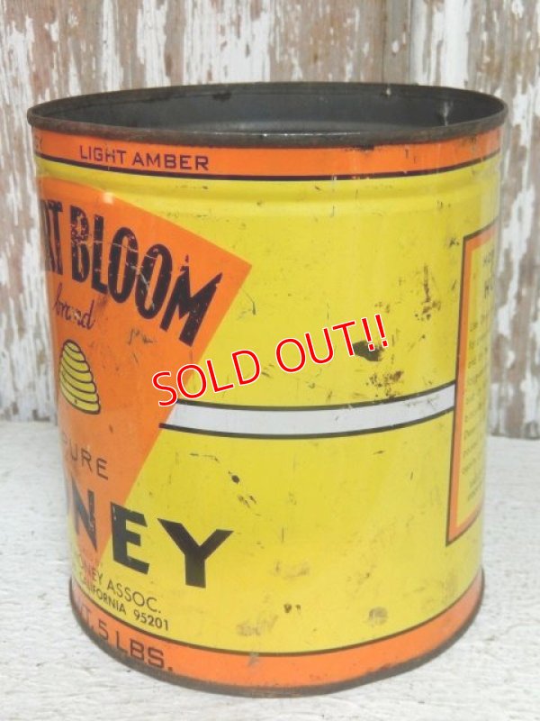 画像2: dp-141101-18 Desert Bloom / Vintage Pure Honey Tin Can