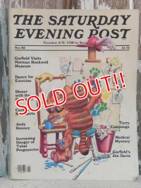 ct-140708-16 Garfield / 80's The Saturday Evening Post