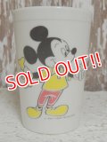 ct-141216-49 Mickey Mouse,Donad Duck & Pluto / Eagle 60's Plastic Cup