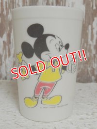 ct-141216-49 Mickey Mouse,Donad Duck & Pluto / Eagle 60's Plastic Cup