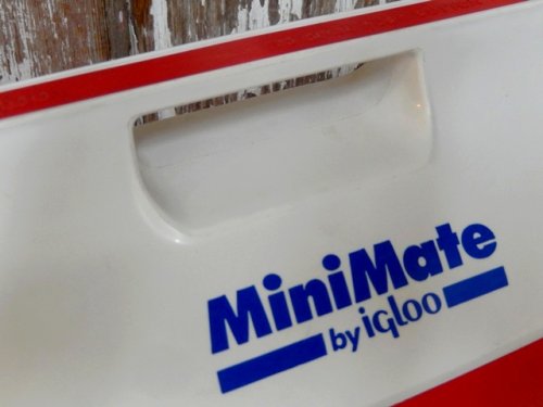 他の写真3: dp-150107-03 igloo / Playmate Coolerbox