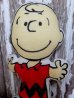 画像2: ct-150101-02 Charlie Brown / mini cloth doll (2)