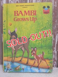 bk-150114-01 Bambi / 1979 Picture Book