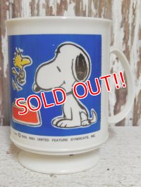 ct-150206-07 Snoopy / 70's-80's Plastic Mug