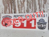 ct-150217-08 Smokey Bear / Sticker "Report Forest Fires! 911"