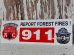 画像1: ct-150217-08 Smokey Bear / Sticker "Report Forest Fires! 911" (1)