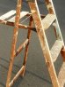 画像6: dp-150317-03 Vintage Wood Step Ladder (Large)