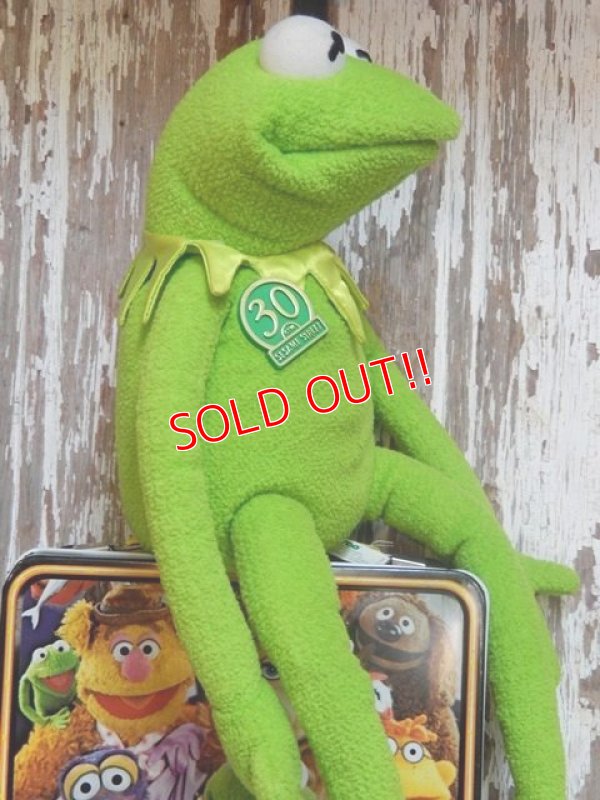 画像4: ct-150324-24 Kermit / Tyco 1999 Magic Talking Plush Doll