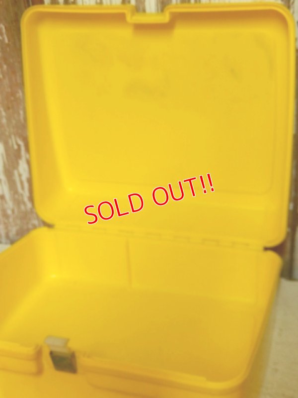 画像5: ct-150602-54 Rainbow Brite / Thermos 80's Plastic Lunchbox