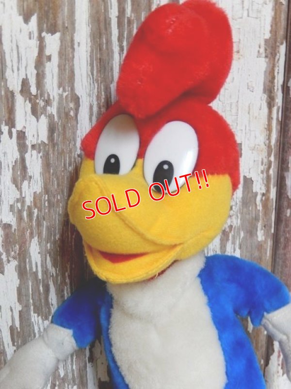 画像2: ct-150602-91 Woody Woodpecker / 80's-90's Plush Doll