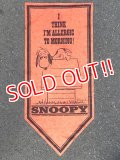 ct-150623-51 PEANUTS / 60's Banner "Snoopy" Red