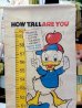 画像2: ct-150617-11 Walt Disney's / 60's How Tall Are You? (2)