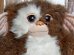 画像2: ct-150715-34 Gremlins / Applause 80's Gizmo Plush Doll (2)