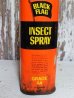 画像4: dp-150805-03 BLACK FLAG / Vintage Insect Spray Can